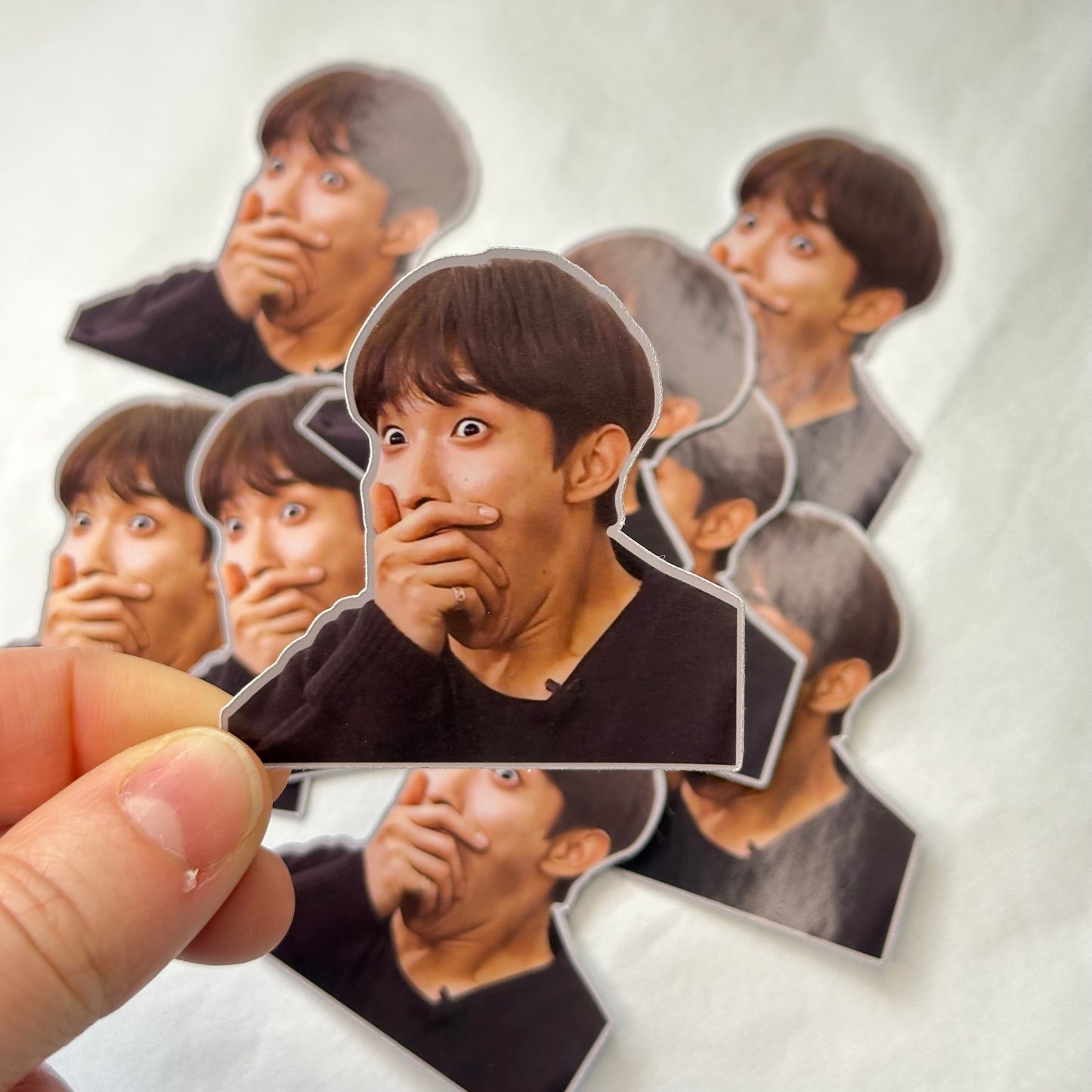 Stickers Meme Seventeen