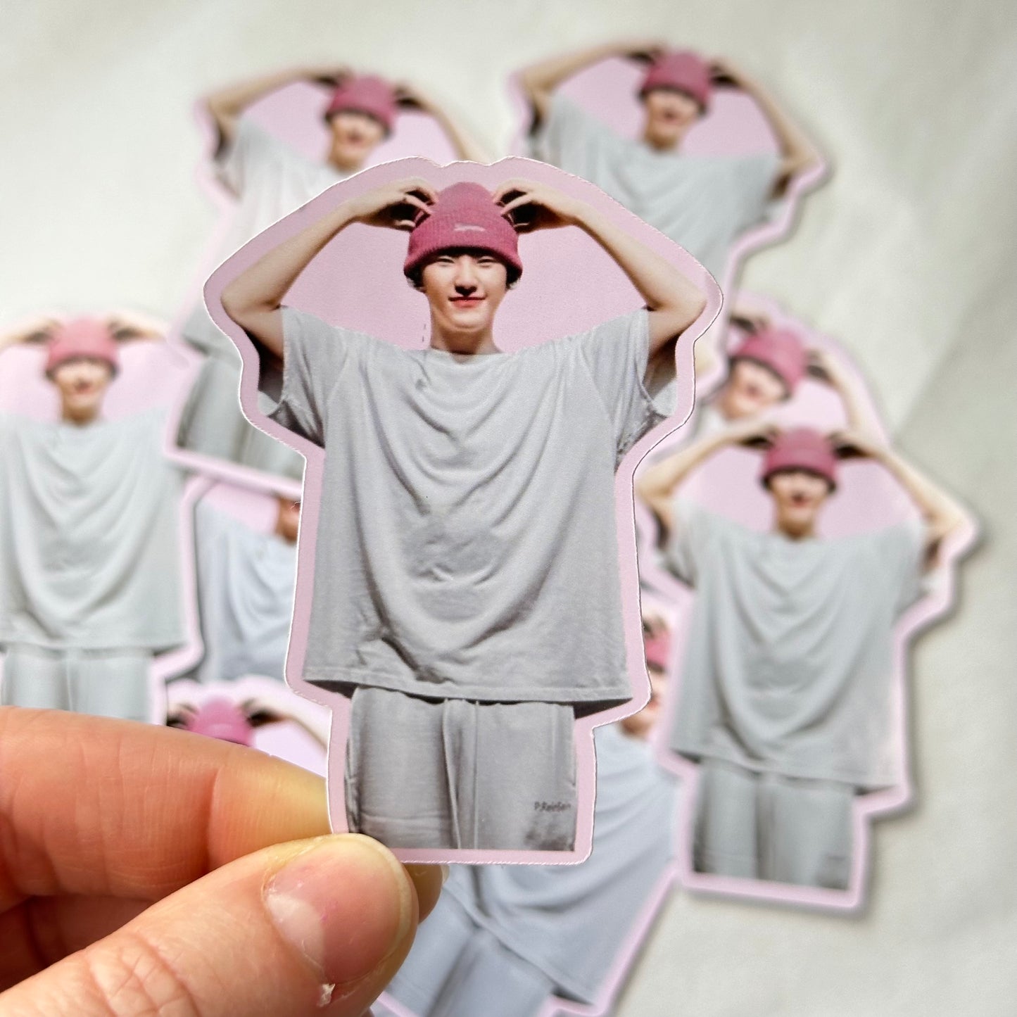 Stickers Meme Seventeen