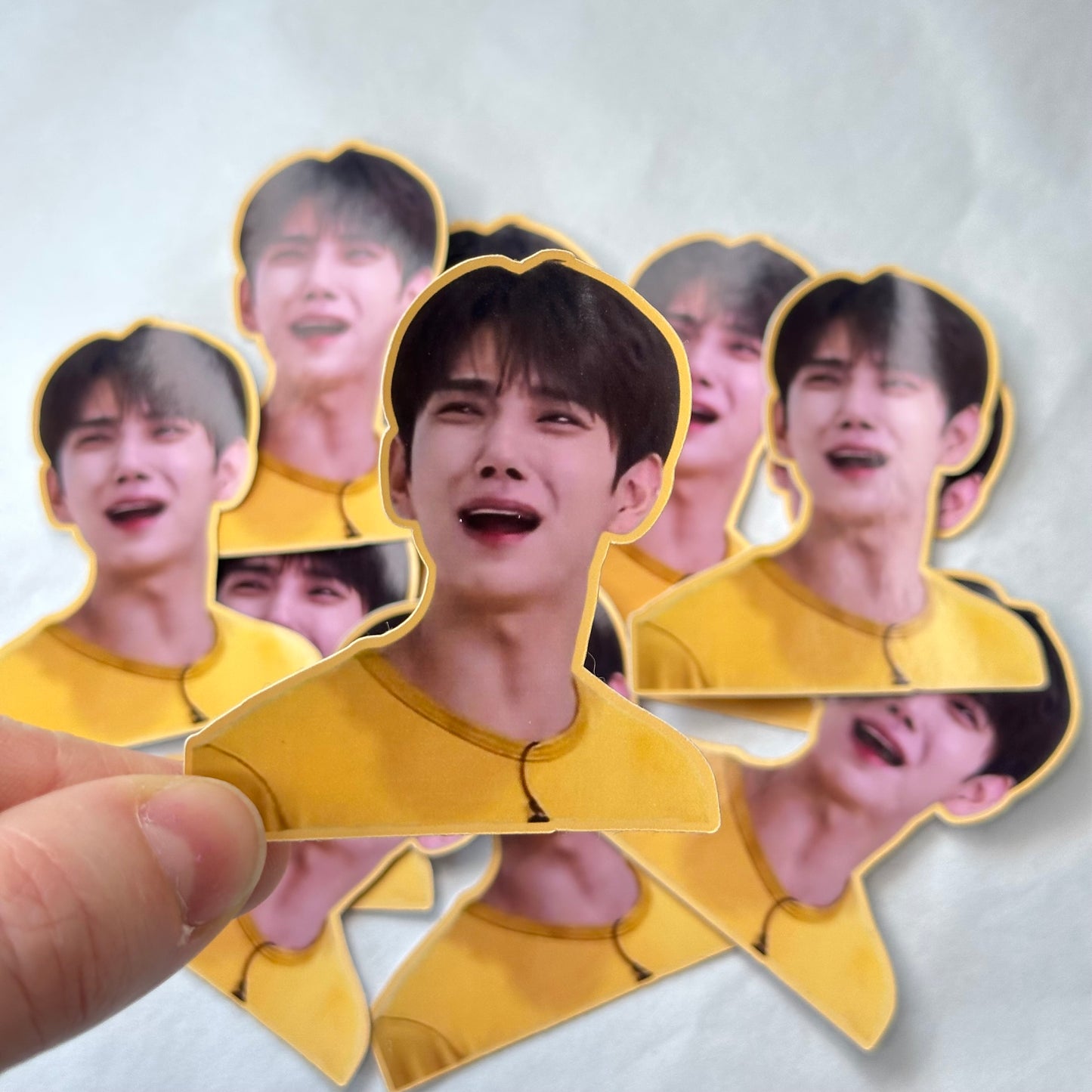 Stickers Meme Seventeen